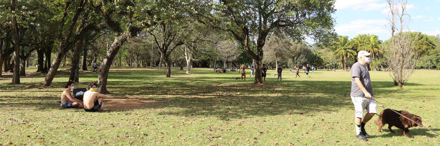 Pessoas caminham no parque cercado de árvores grandes com folhagens verdes e flores